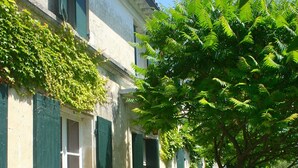 Un bâtiment aux volets verts, un étroit sentier et un arbre au premier plan.