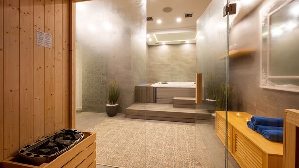 Een moderne sauna met een houten bank, een glazen deur, een whirlpool en een kleine potplant.