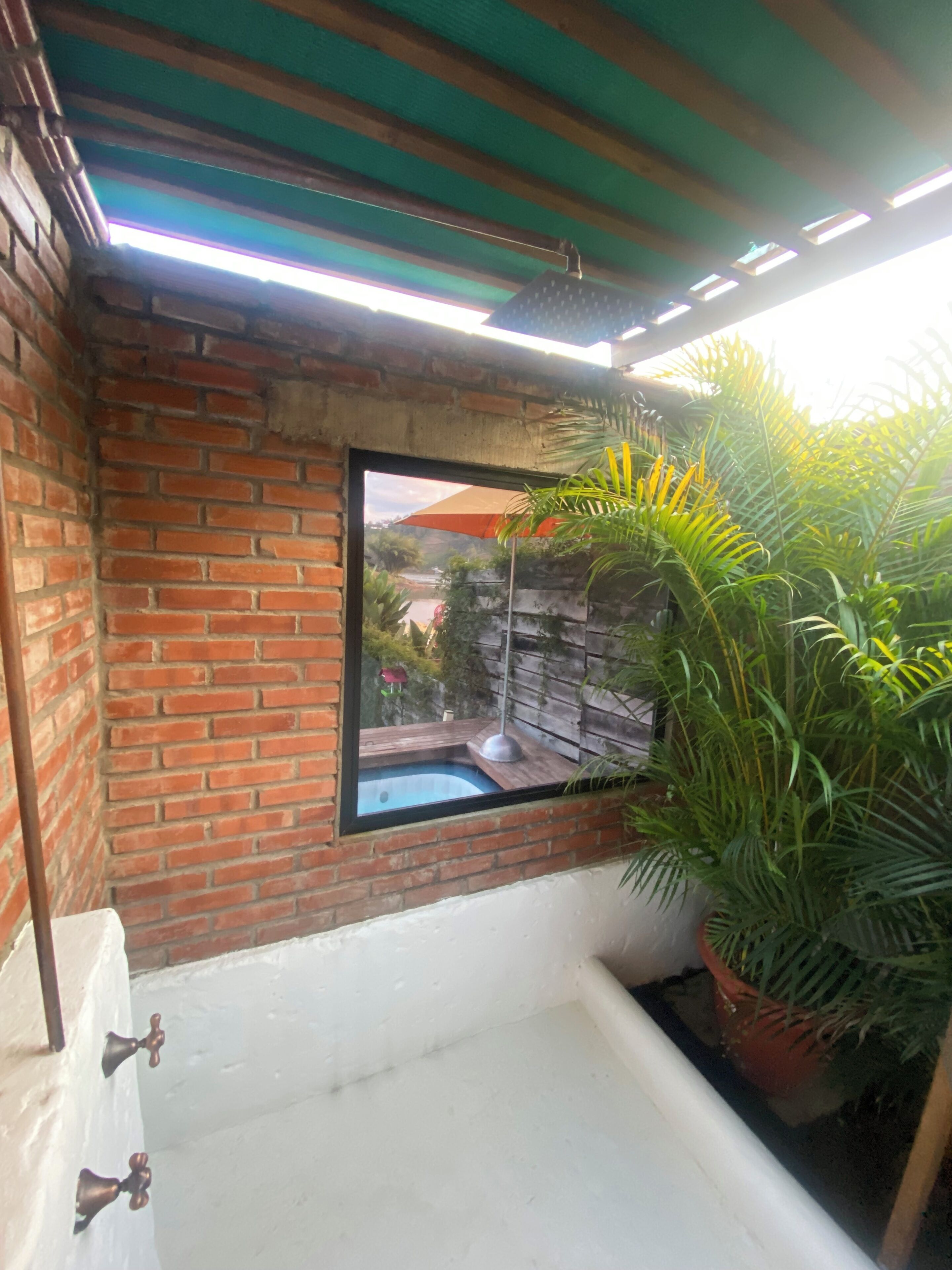 A bathroom with a window, a bathtub, and a potted plant.