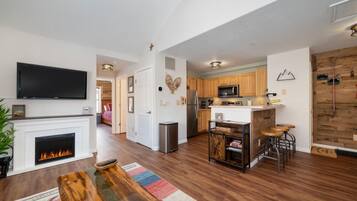 TV, fireplace, computer monitors