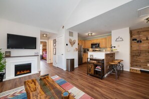 TV, fireplace, computer monitors