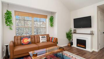 TV, fireplace, computer monitors