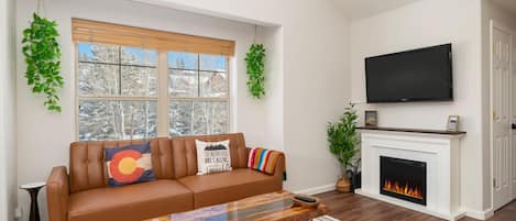 Télévision, cheminée, écrans d'ordinateur