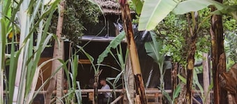 Jangwani river view inn