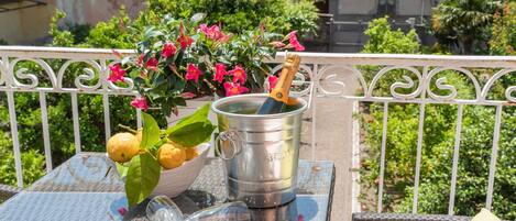 Apartment, 1 Bedroom, Smoking, Private Bathroom | Terrace/patio