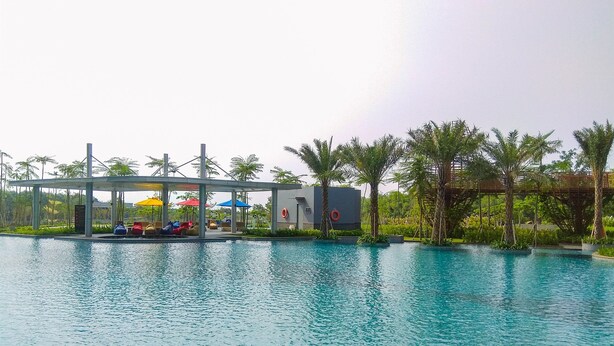 A clear blue pool with lounge chairs and umbrellas, surrounded by palm trees and a covered seating area.