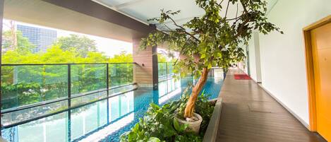 Una piscina interior con suelo de madera, rodeada de exuberante vegetación y una barrera de vidrio.