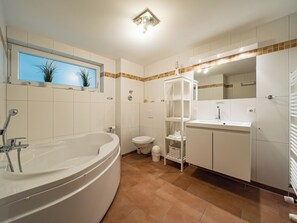 Shower, hair dryer