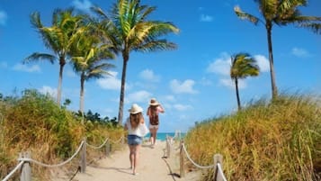 Camastros y toallas de playa