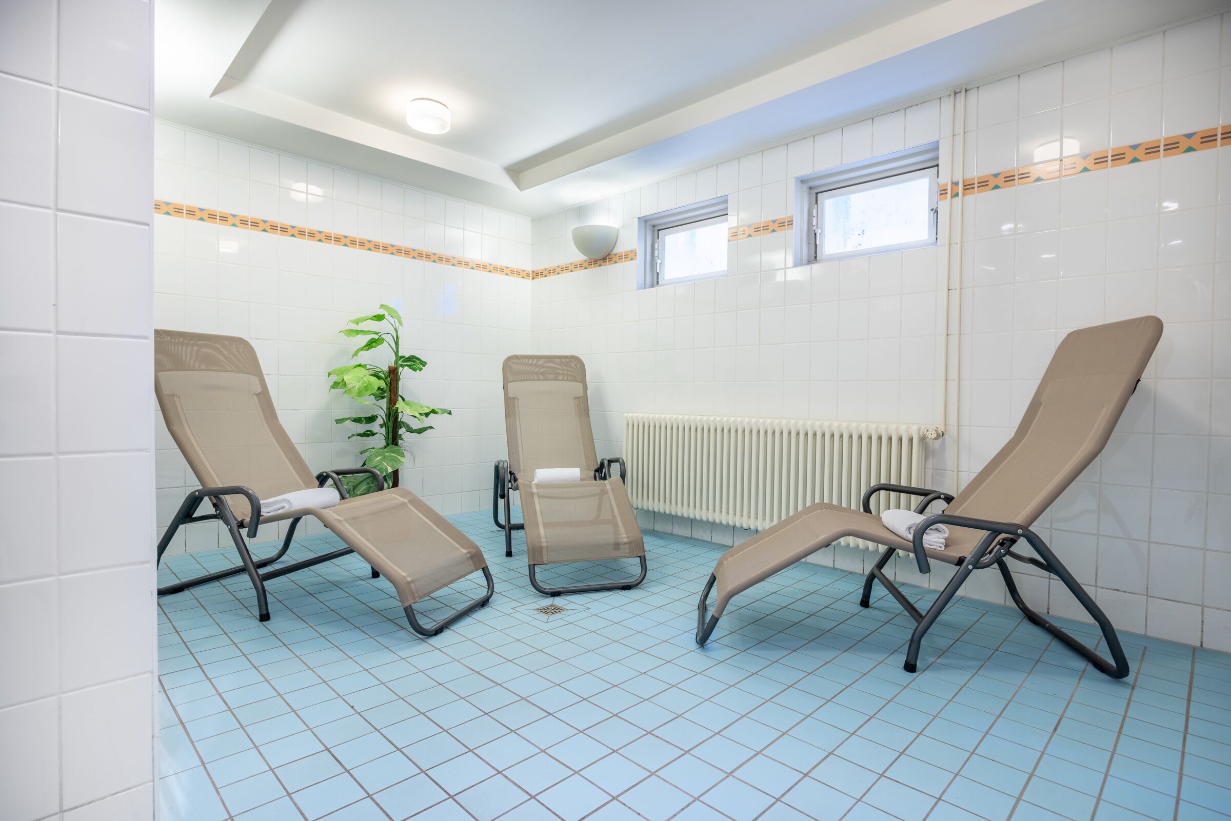 Ein Zimmer mit drei Liegesesseln, einer Topfpflanze und einem Fenster.