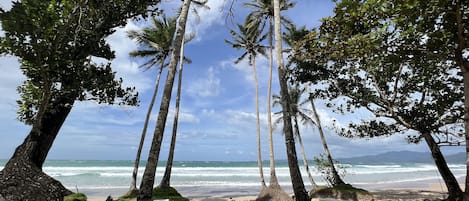 Vue sur la plage/l’océan