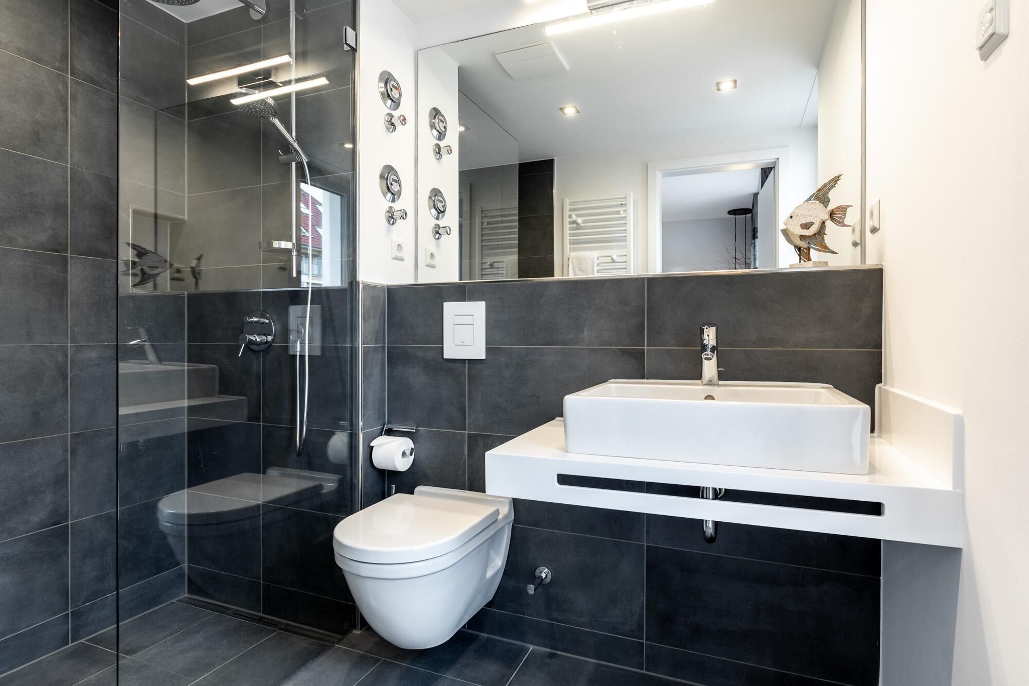 Douche, séchoir à cheveux