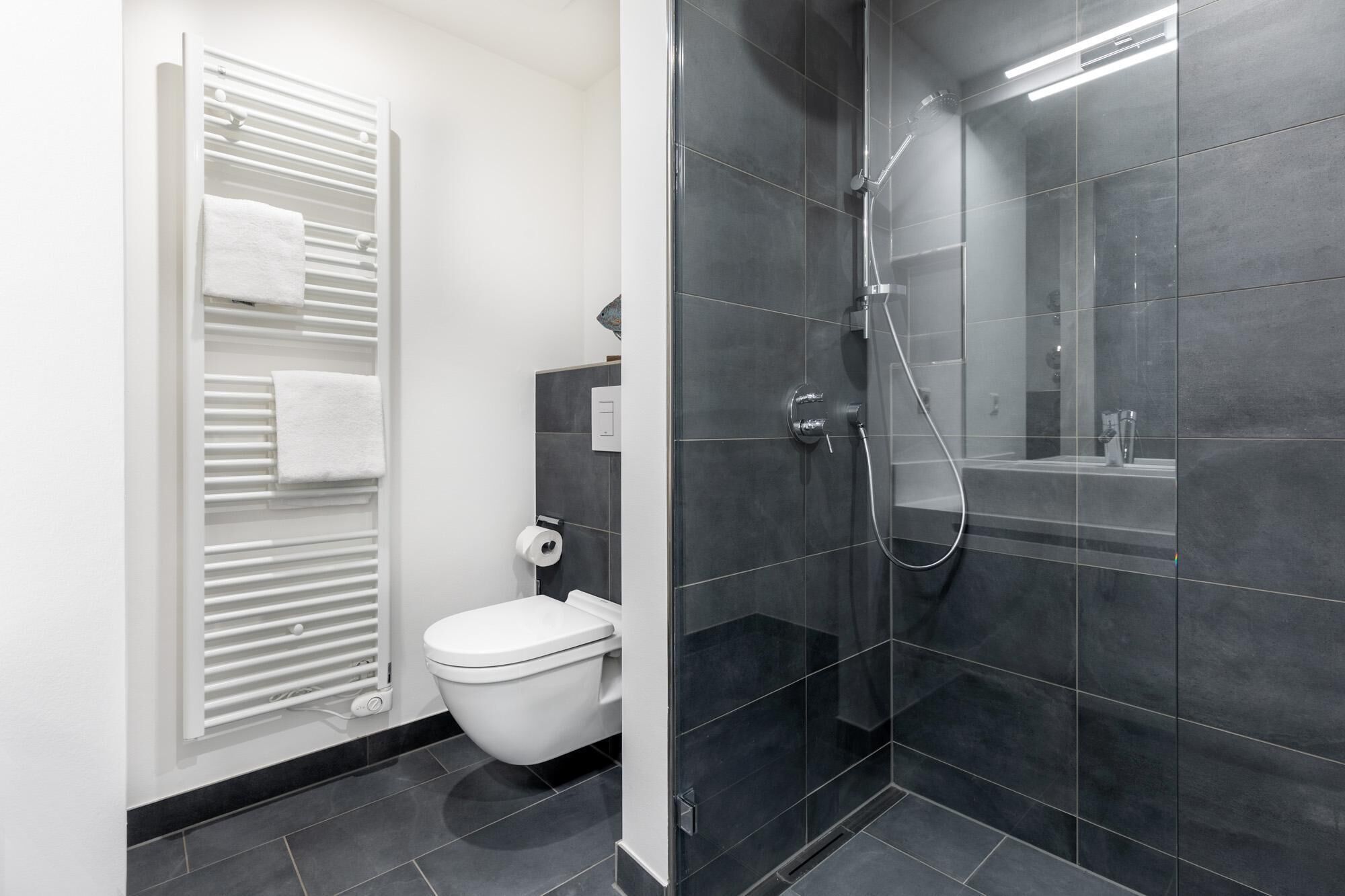 Ein modernes Badezimmer mit Toilette, Dusche und Handtuchhalter.