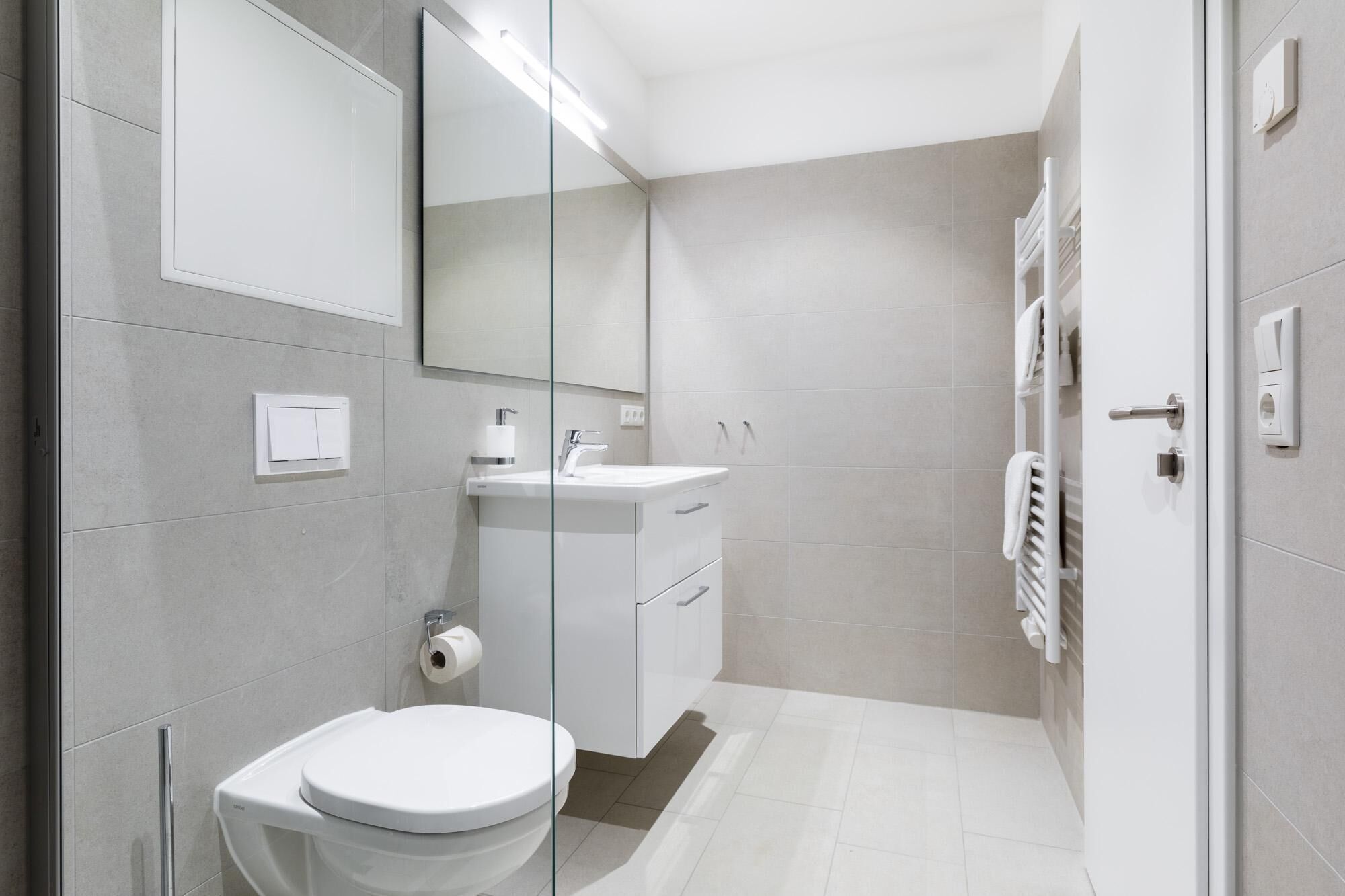 Shower, hair dryer, towels