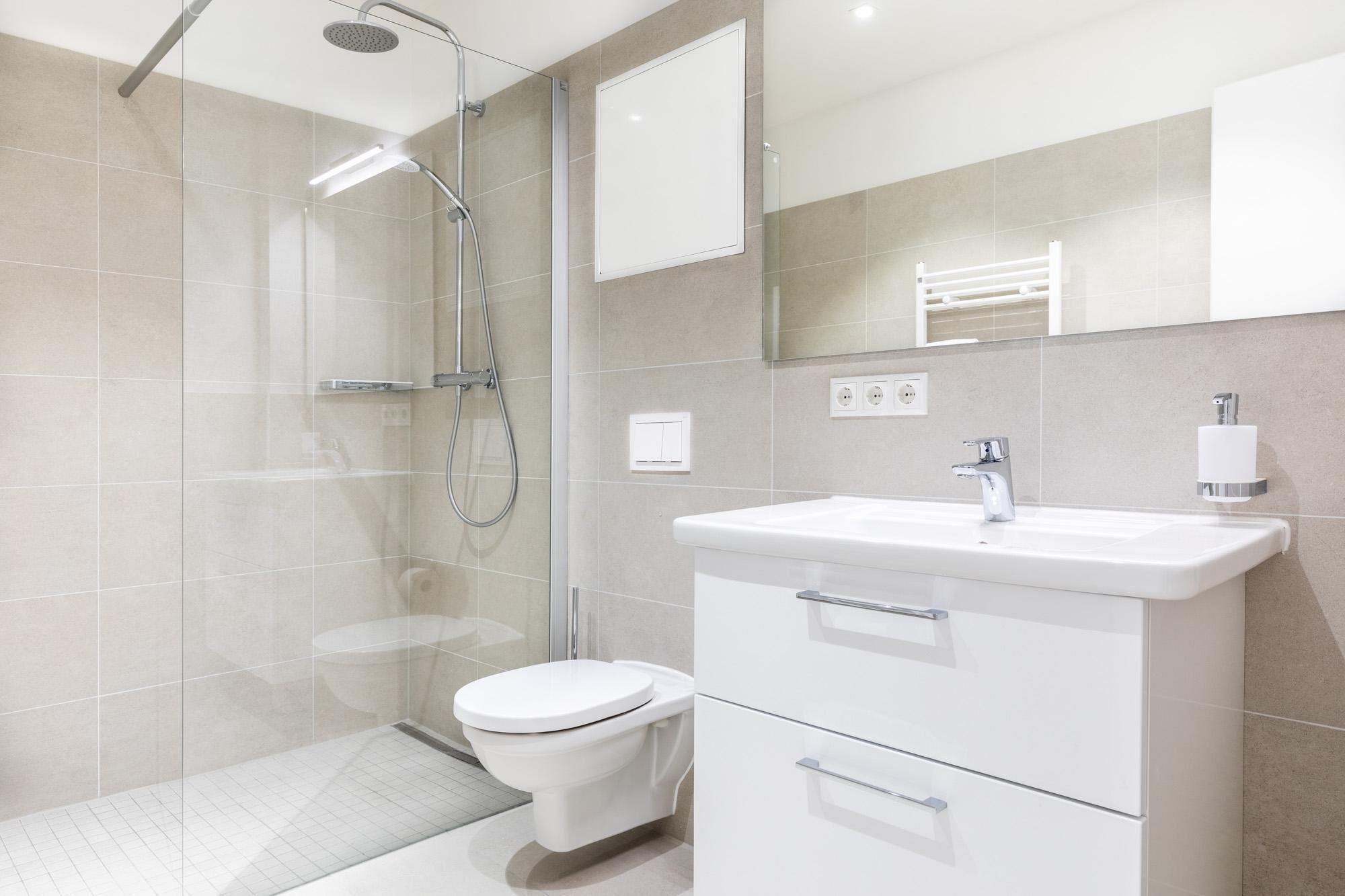 Shower, hair dryer, towels