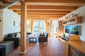 TV, fireplace, DVD player, books