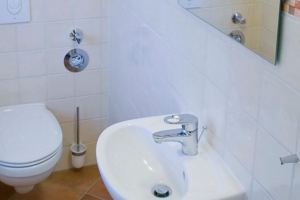 Un bagno con il water bianco, un lavandino con rubinetto cromato e una spazzola per il water.