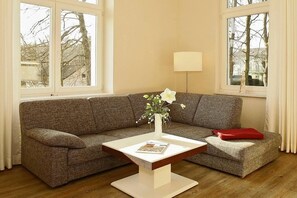 Télévision, lecteur de DVD, livres, chaîne hi-fi