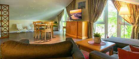 Tv, dvd-spelare, böcker och en stereo