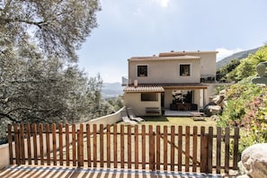 Property grounds - New accommodation, summer kitchen, terrace, garden (Olmeto)