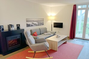 Télévision, cheminée, livres, chaîne hi-fi