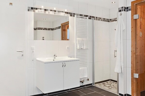 Shower, hair dryer