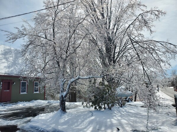 Enceinte de l’hébergement