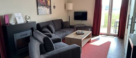 Televisio, takka, kirjoja, stereot