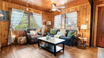 Smart TV, chimenea, videojuegos y reproductor de DVD