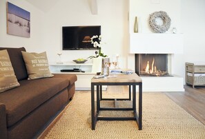 Televisión, chimenea, reproductor de DVD y libros 