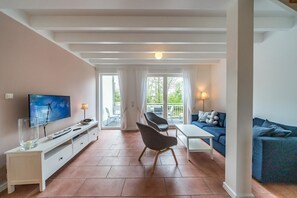 Télévision, cheminée, lecteur de DVD, livres