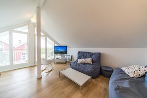 TV, lareira, DVD player, livros