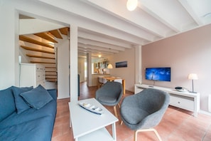 Télévision, cheminée, lecteur de DVD, livres
