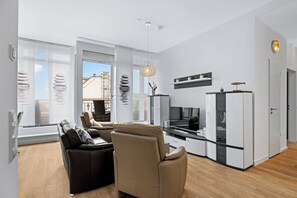 Télévision, cheminée, lecteur de DVD, livres