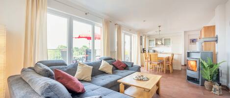 Télévision, cheminée, lecteur de DVD, livres