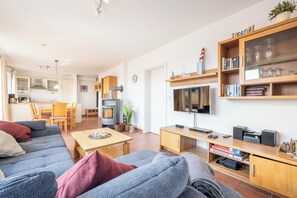 Télévision, cheminée, lecteur de DVD, livres