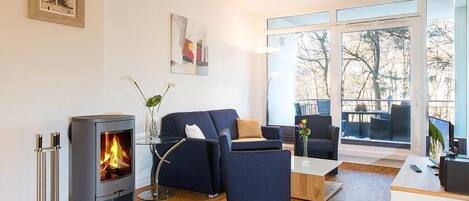 Televisión, chimenea, libros, estéreo