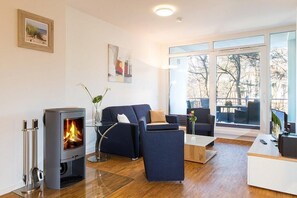 Télévision, cheminée, livres, chaîne hi-fi