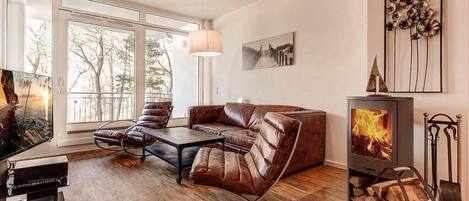 TV, fireplace, DVD player, books