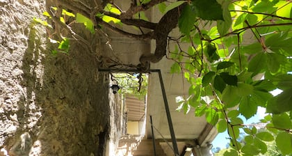Welcome to Lougissoun, group gîte in the heart of Provence