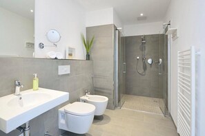 Shower, hair dryer, bidet, towels