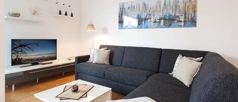 Télévision, lecteur de DVD, chaßne hi-fi