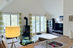 Télévision, cheminée, lecteur de DVD, chaîne hi-fi