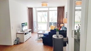 Télévision, cheminée, livres, chaîne hi-fi