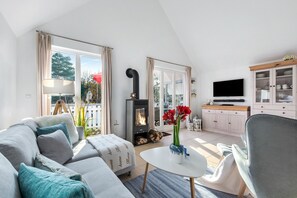 Televisie, een open haard, een dvd-speler en boeken