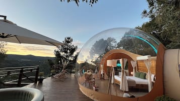 Cabin Deluxe | Minibar, trang trí khác biệt, trang bị nội thất với thiết kế riêng biệt