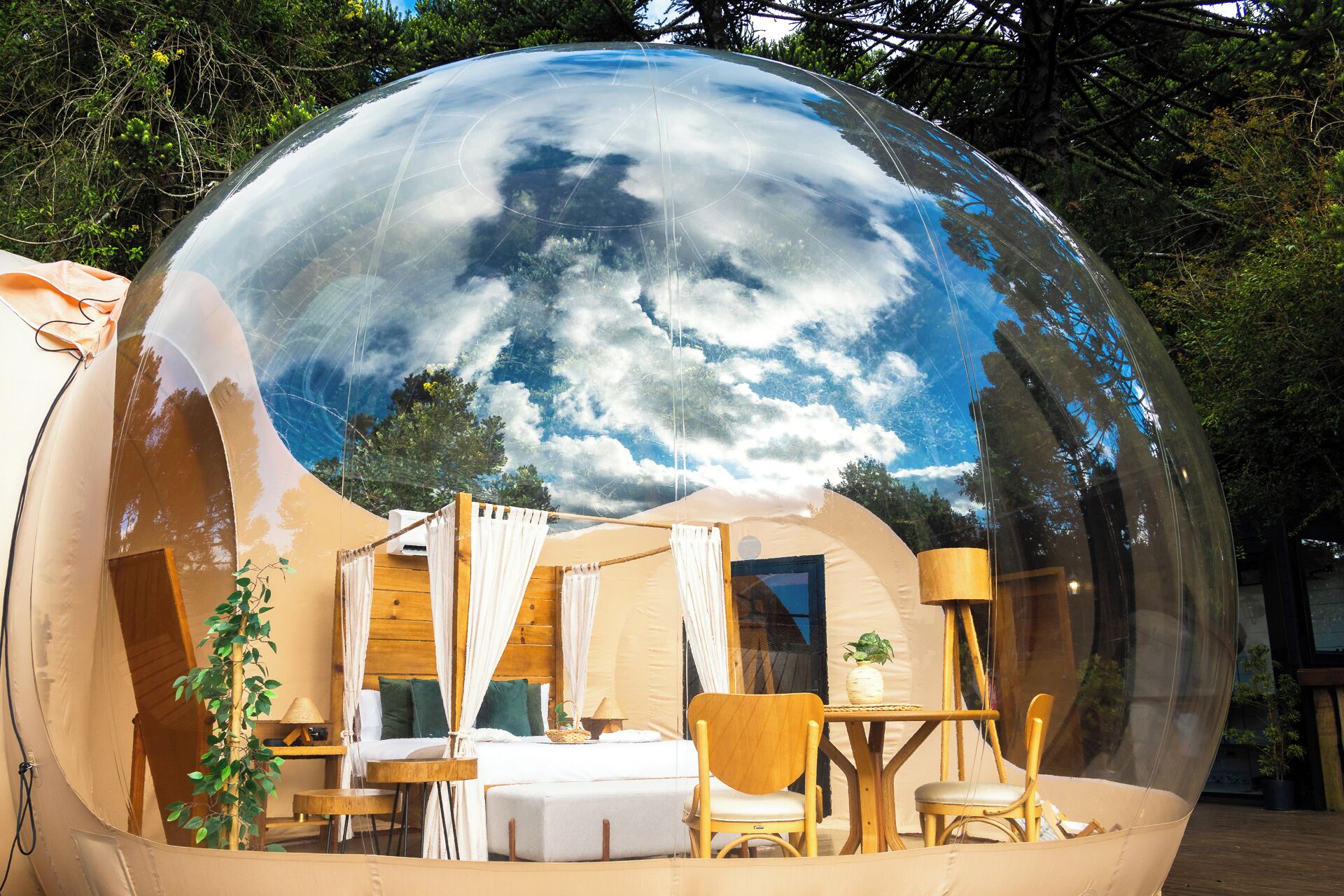 A transparent dome with a bed, chairs, and a table inside, surrounded by trees.