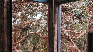 A room with a large window overlooking a forested area, a potted plant, and a tiled floor.