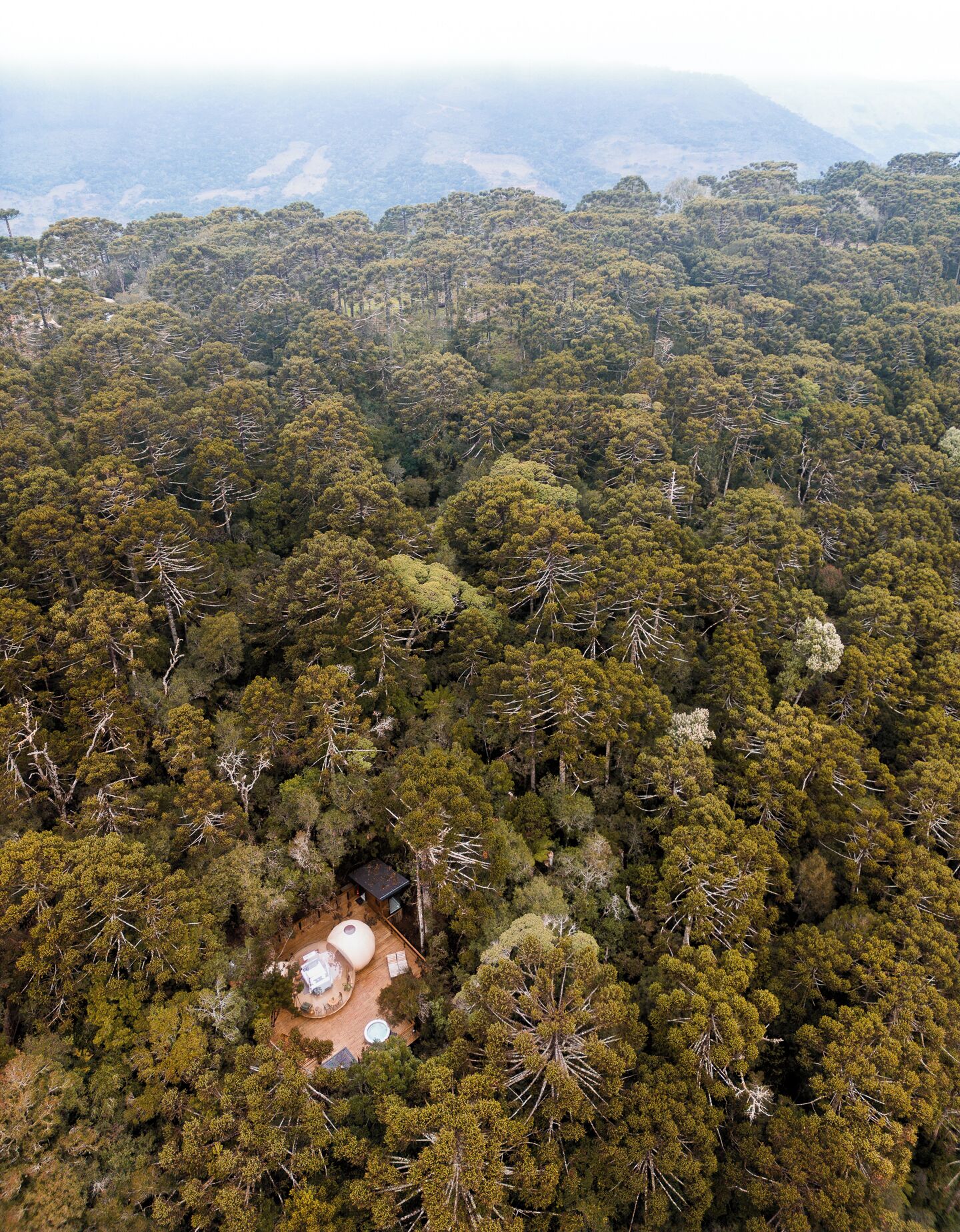 Vista aérea de un área boscosa con una cabaña pequeña que tiene una terraza y asientos al aire libre.