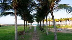Un sentier bordé de palmiers qui mène à une plage.